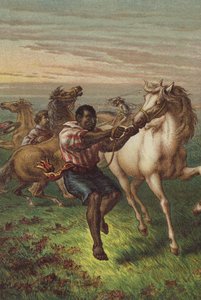 Les cavaliers de Garibaldi domptant des chevaux sauvages - English School